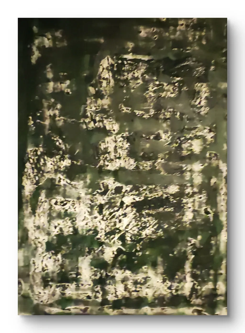 Forest Light Reflections